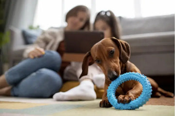 What dog toy is good for dogs?