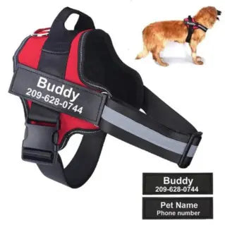 Personalized Dog Harness - Paw Needs Love Pets