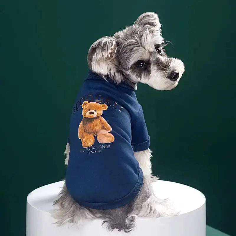 Bear Embrace Pullover - Paw Needs Love