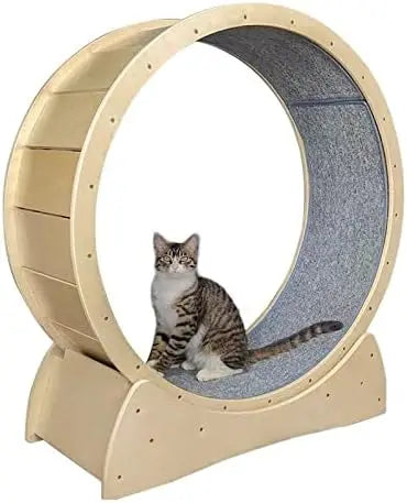 Cat Exercise Wheel_1