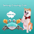 Crawling Crab Toy_5