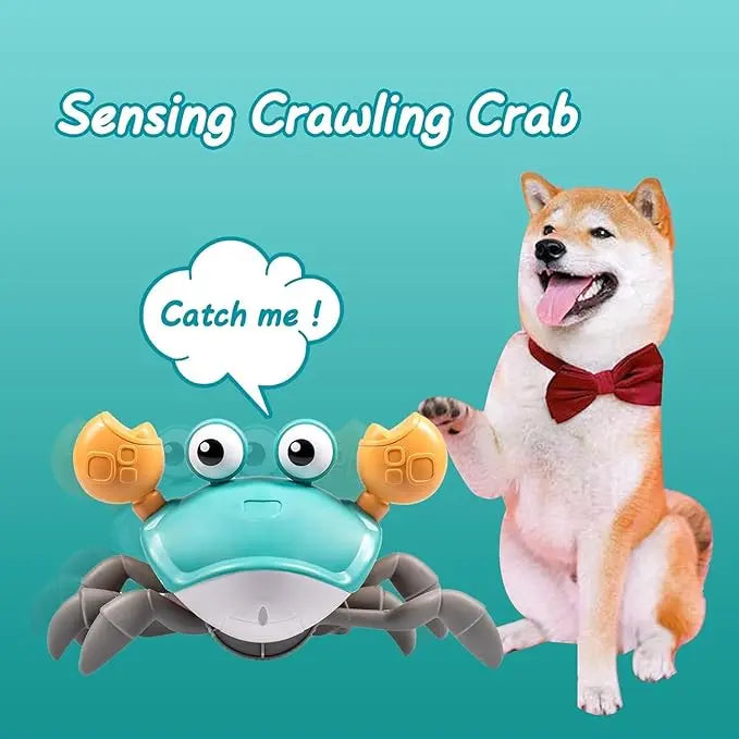 Crawling Crab Toy_5