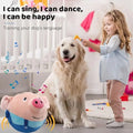 Paw Needs Love  Bouncing Piggy - Interactive Dog Toy Paw Needs Love  ball dogs interactive plush toys