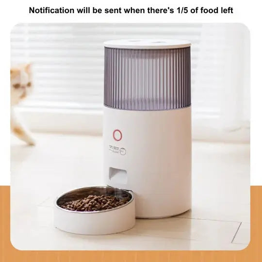 Automatic Cat Feeder_1