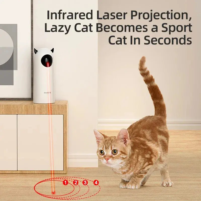 LED Laser Indoor Cat Toy - Paw Needs Love