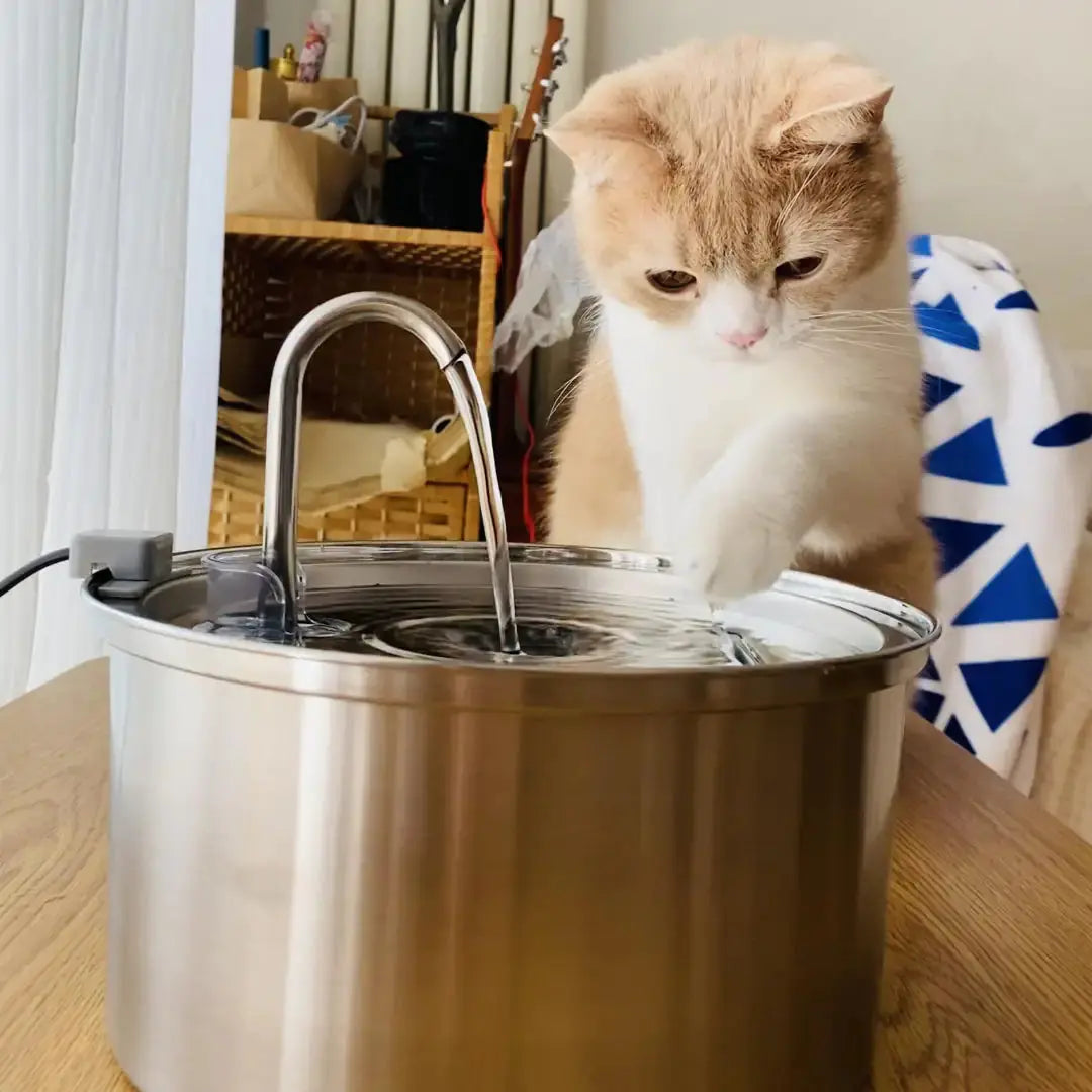 Cat Water Fountain_1