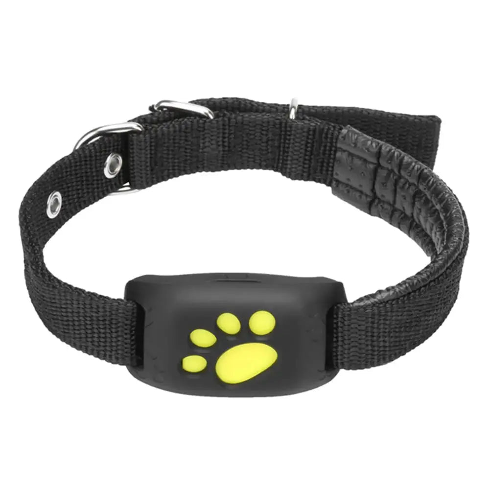 Pet GPS Tracker Collar - Paw Needs Love