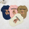 Bear Embrace Pullover - Paw Needs Love