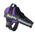 Personalized Dog Harness - Paw Needs Love Pets