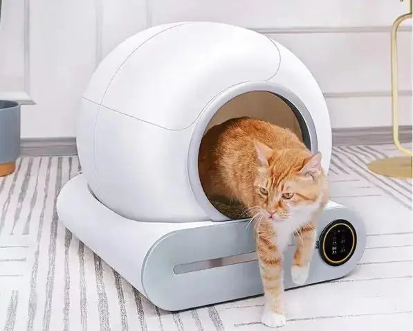 Smart Automatic Litter Box Cat Toilet with Pooper Scooper Paw Needs Love