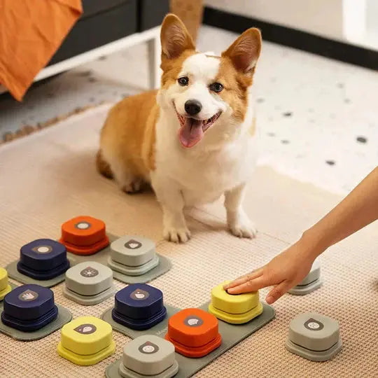 Dog Interactive Training Buttons - Paw Needs Love