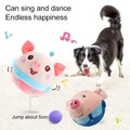 Paw Needs Love  Bouncing Piggy - Interactive Dog Toy Paw Needs Love  ball dogs interactive plush toys