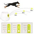 Automatic Ball Launcher for dogs - Paw Needs Love