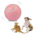 Paw Needs Love  Smart Pet Play Sphere Paw Needs Love  Smart Pet Play Sphere