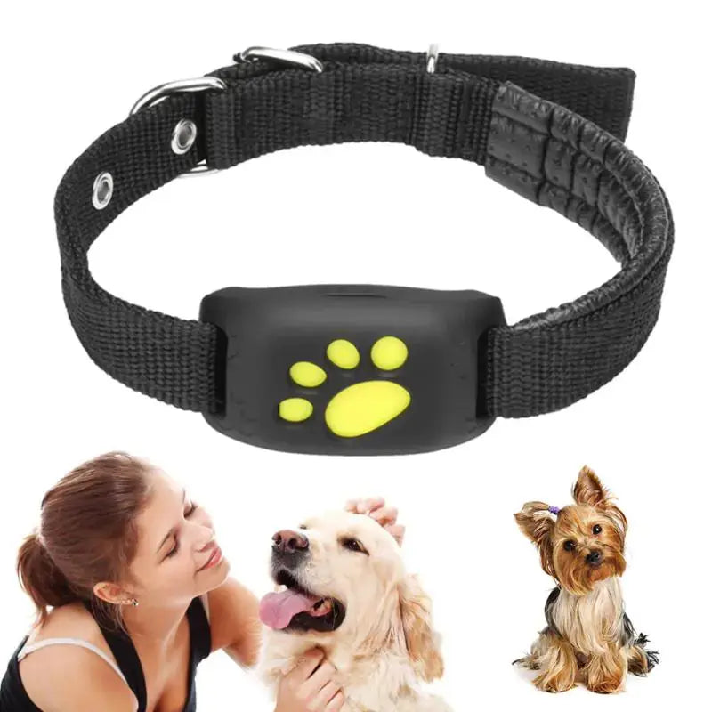 Pet GPS Tracker Collar - Paw Needs Love