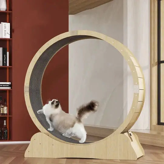 Cat Exercise Wheel_1