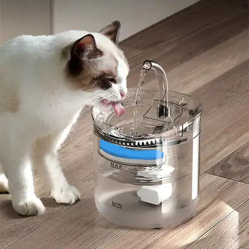 Drinking Bowl Auto Drinking Filter for Pets - Paw Needs Love