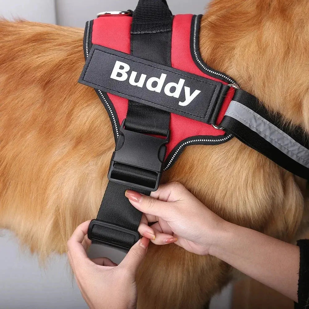 Personalized Dog Harness - Paw Needs Love Pets