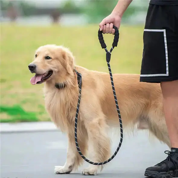 Reflective Dog Leash Paw Needs Love